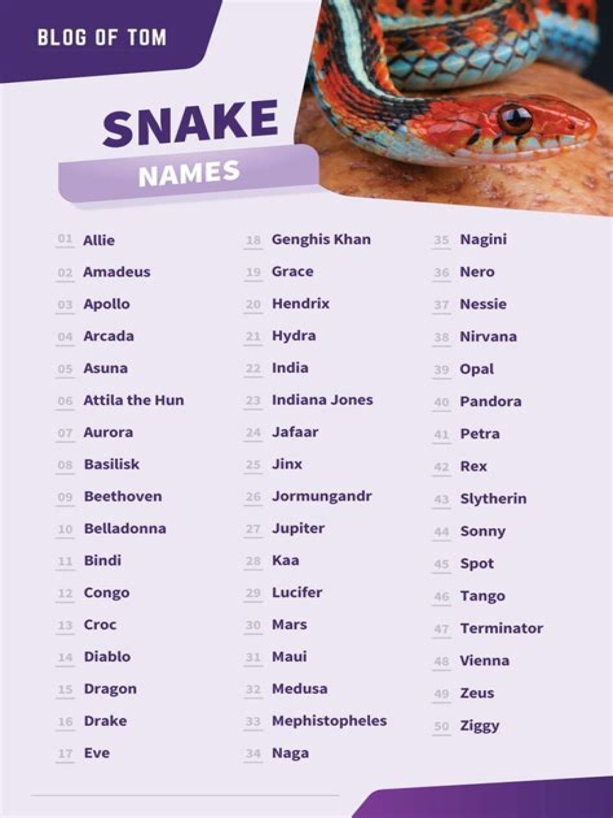 Discover Unforgettable And Unique Female Snake Names: A Comprehensive Guide