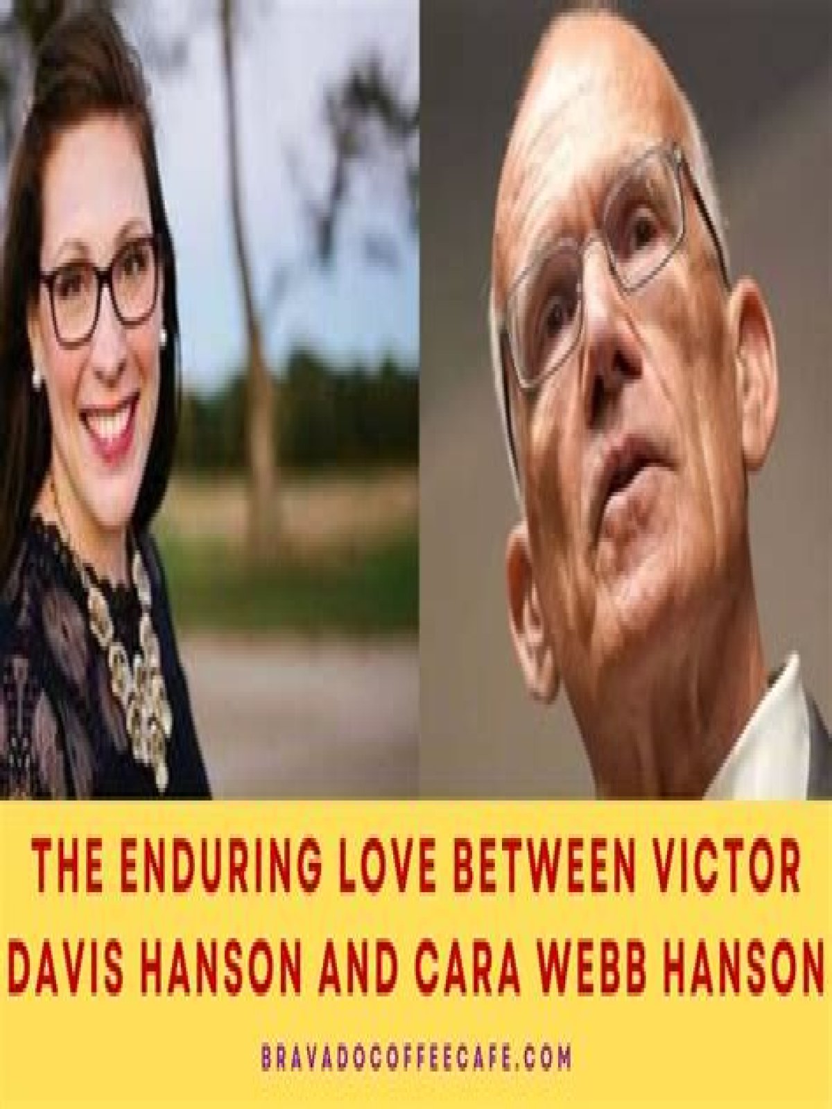 Discoveries And Insights Behind Victor Davis Hanson's Wife