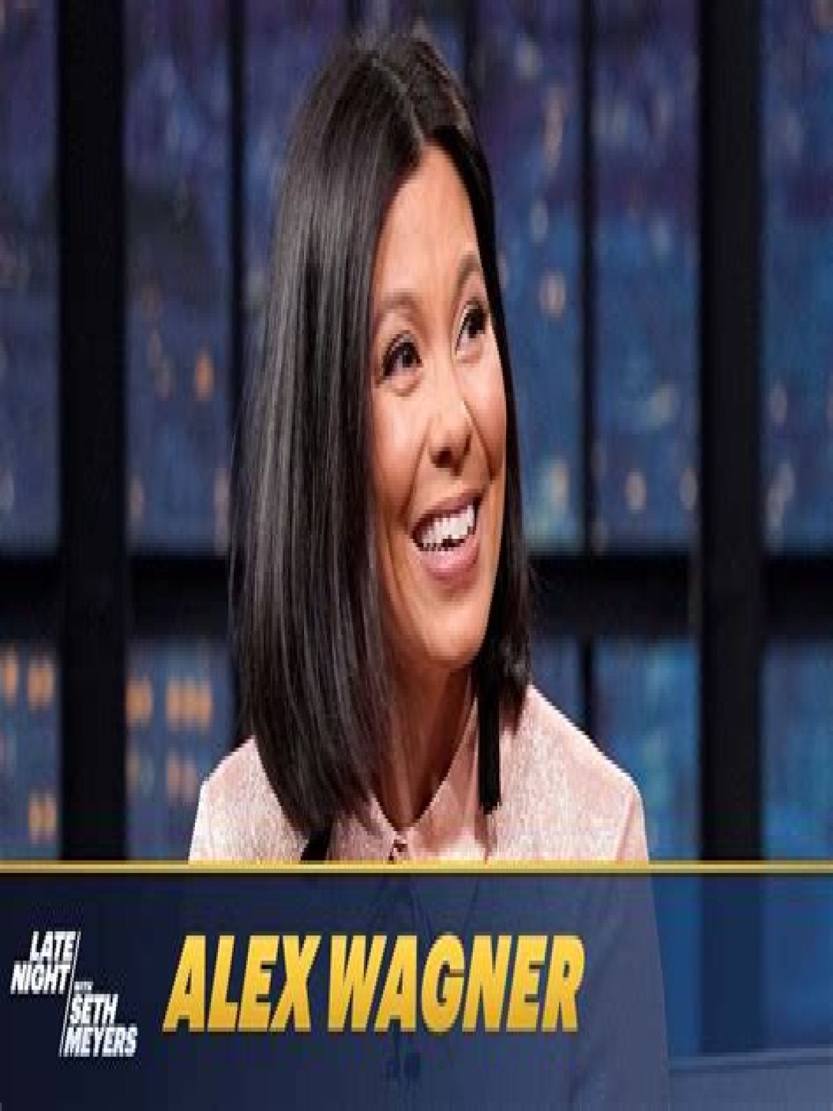 Understanding The Impact Of Alex Wagner's Divorce On Her Career And Personal Life