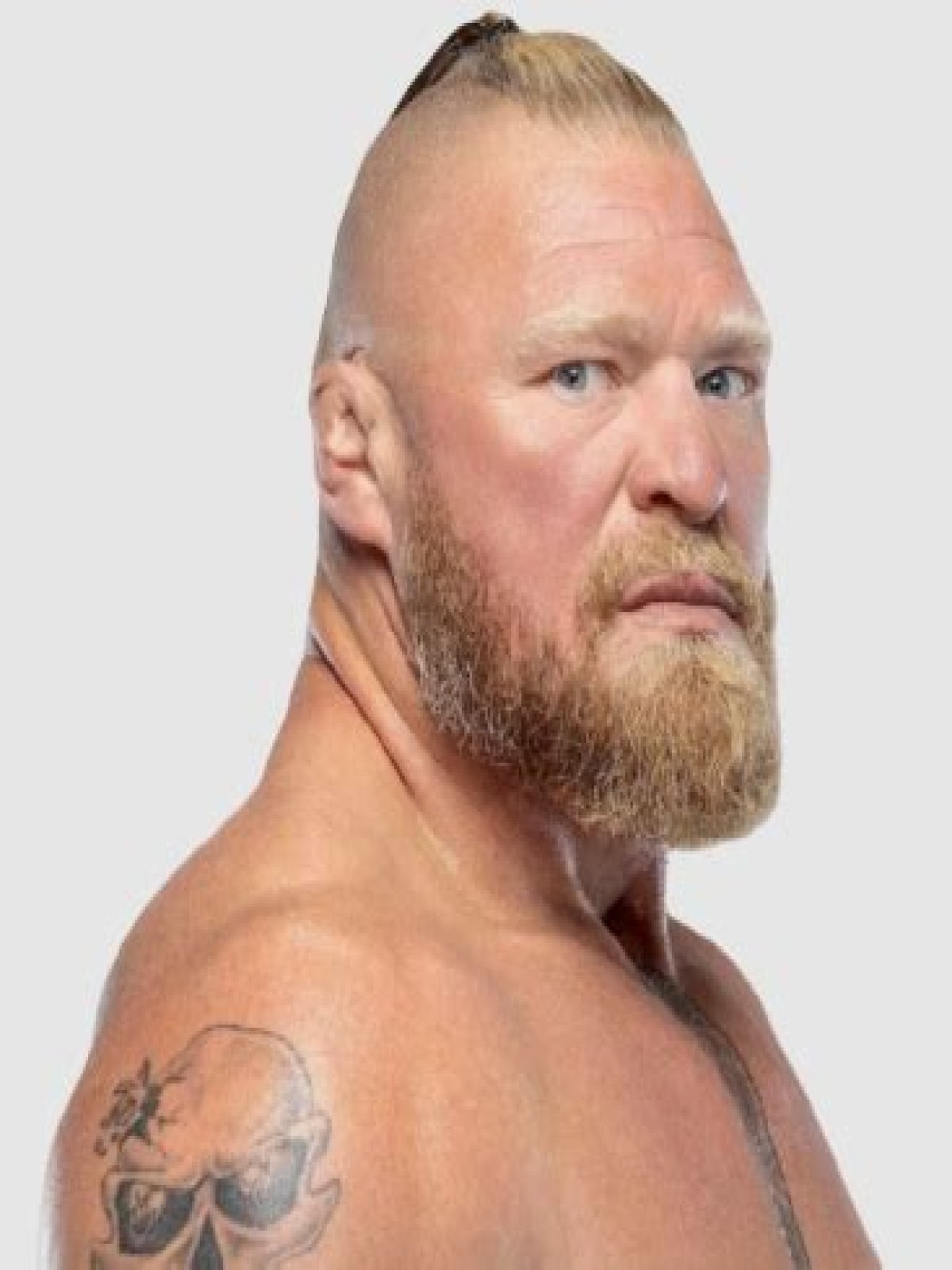 Unveiling The Remarkable Journey And Impact Of Nicole Mcclain Lesnar In Wrestling, Fitness, And Beyond